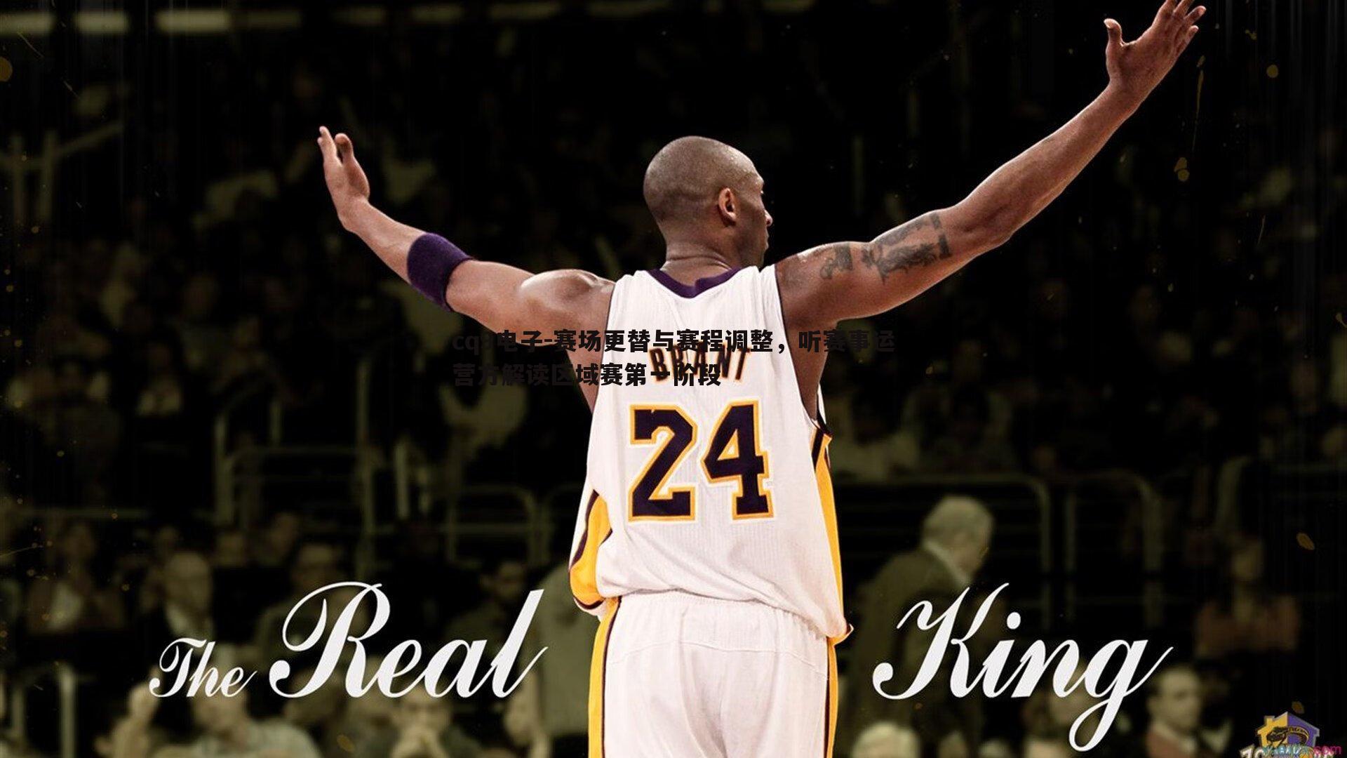 赛场更替与赛程调整,听赛事运营方解读区域赛第一阶段